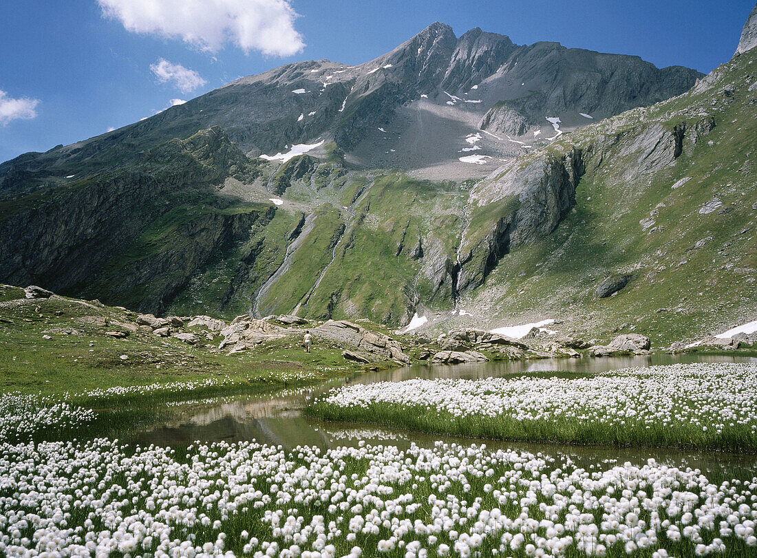 Planaval. Valle d Aosta. Italy