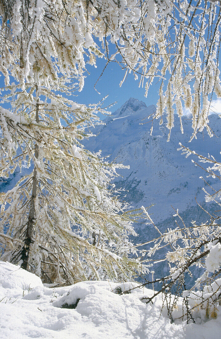 Chamonix Valley. Haute-Savoie. Rhone-Alpes, France