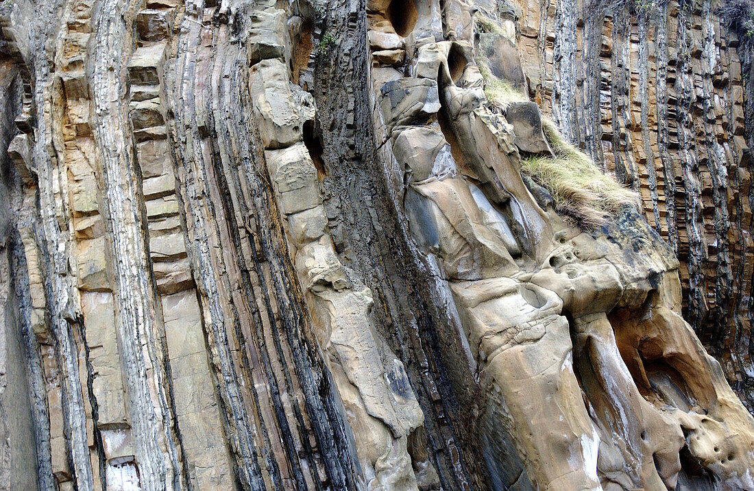 Felsen, geologische Formationen in der Bucht von La Concha. San Sebastián. Spanien