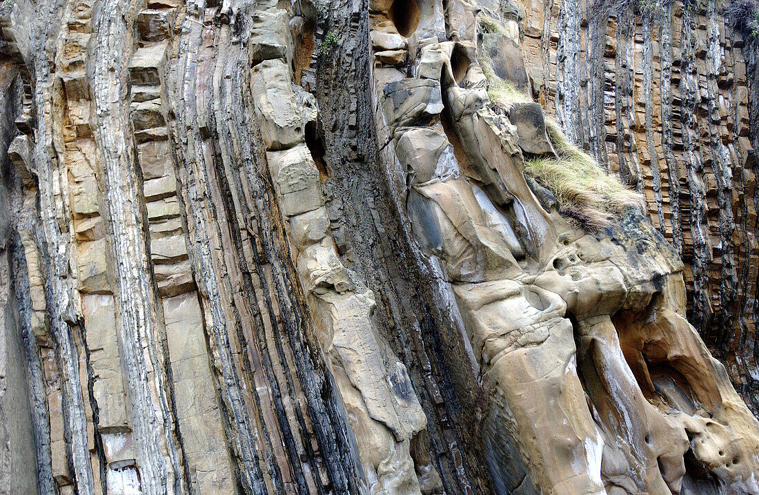 Rock, geological formations at La Concha bay. San Sebastián. Spain