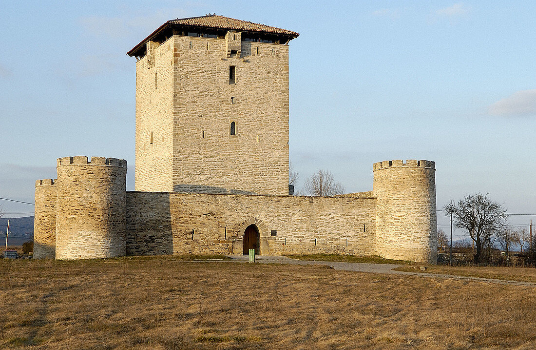 Mendoza Turmhaus. In der Nähe von Vitoria-Gasteiz. Alava. Euskadi. Spanien.