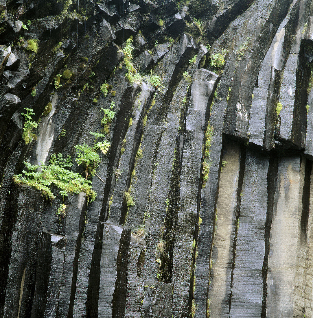 Basalt, Svartifoss, Skaftafell-Nationalpark, Island