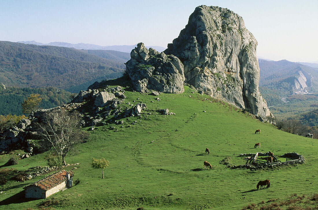 Horses, Napar-Aitz, Sierra de Aitzgorri. Guipúzcoa. Spain