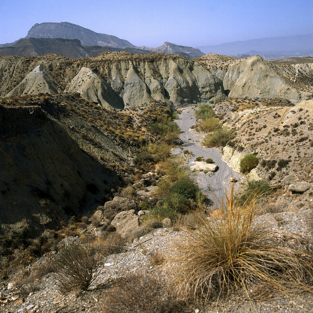 Tabernas desert. Almería province, Spain