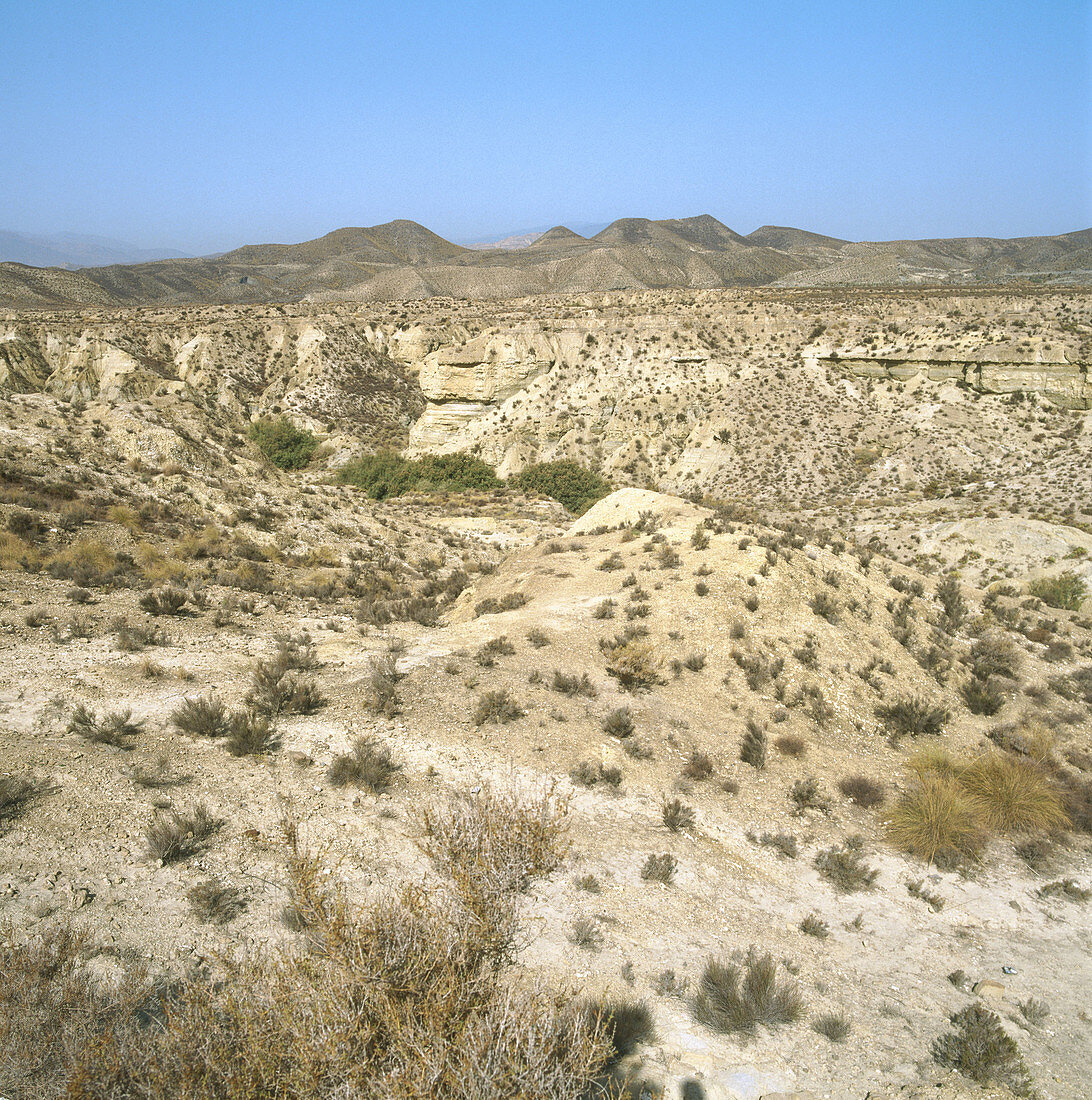 Tabernas desert, Almería province, Spain