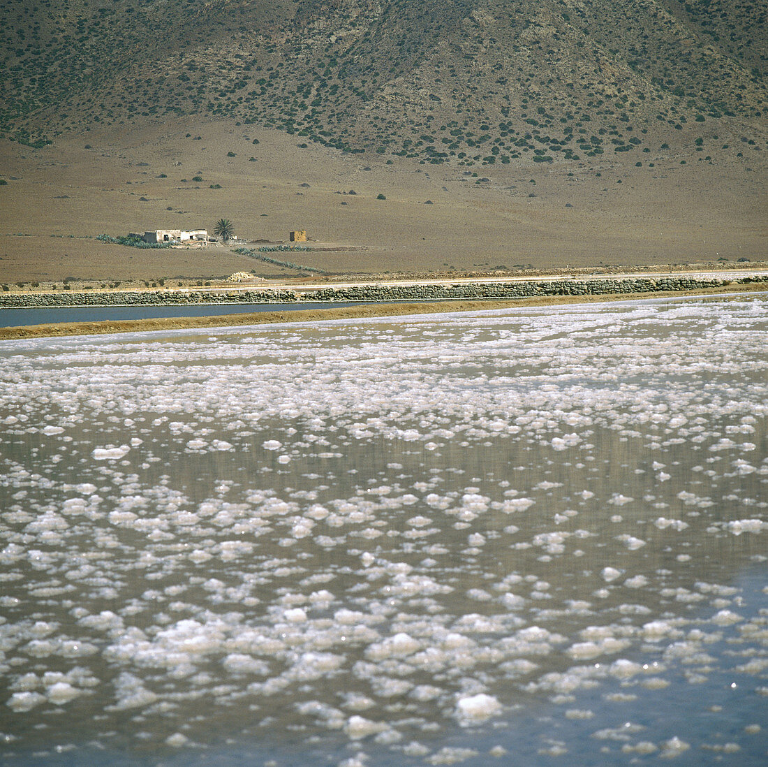 Salinas de Acosta , Parque Natural de Cabo de Gata, Almeria province, Spain