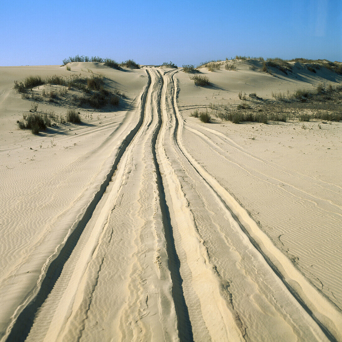 Dünen, Doñana-Nationalpark, Provinz Huelva, Spanien