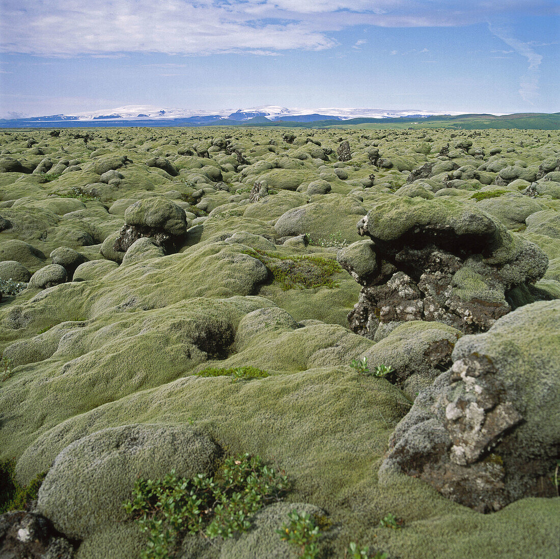 Myrdalsjokull Glacier, Tundra, Iceland