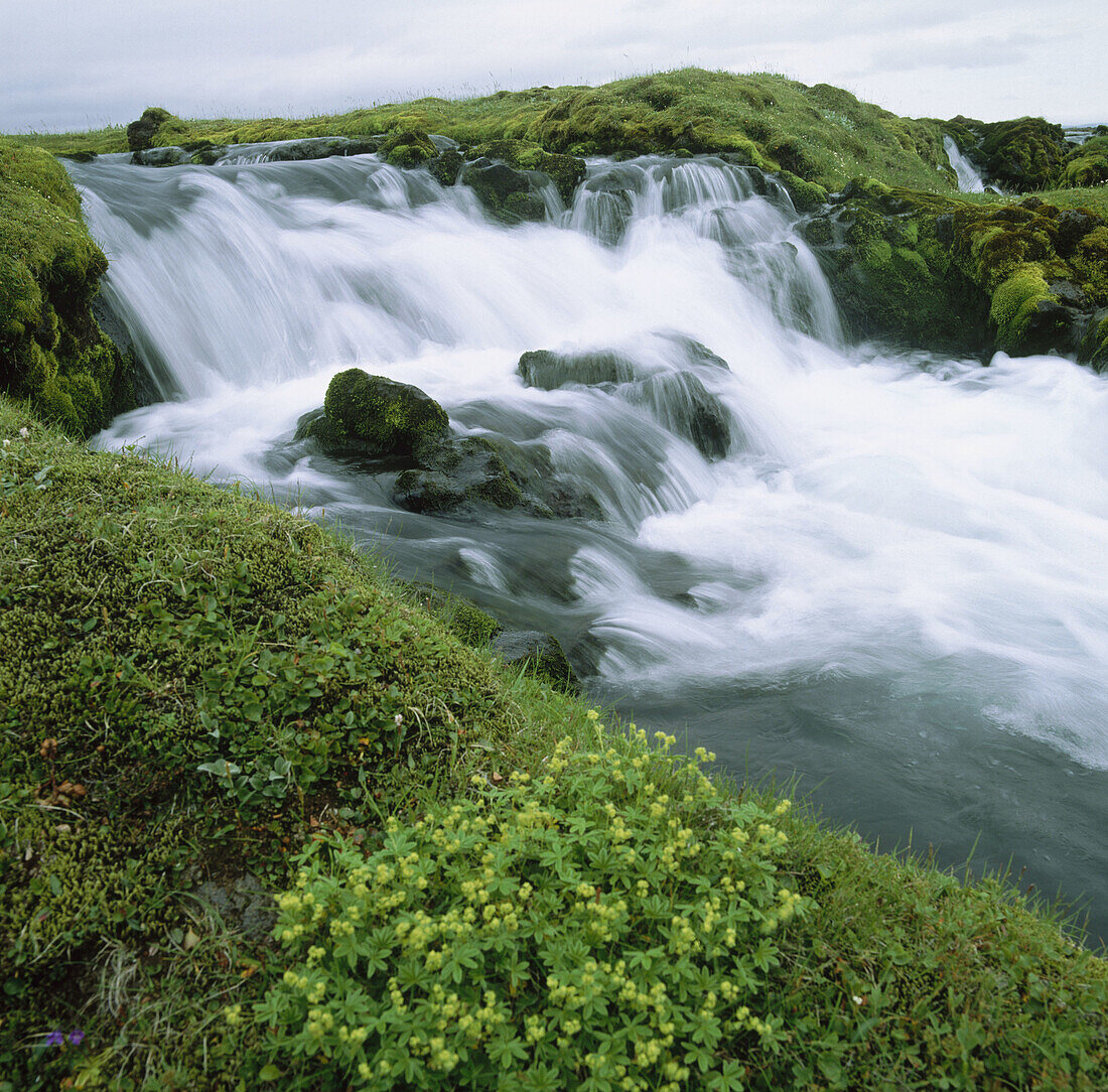 Skafta-Fluss, Island