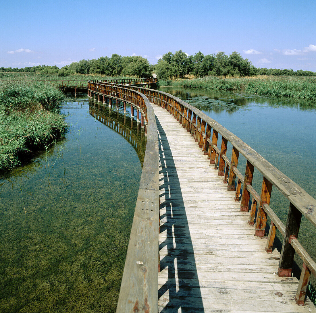 Nationalpark Tablas de Daimiel. Provinz Ciudad Real. Spanien