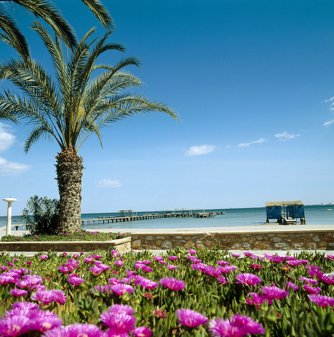 Strand, Santiago de la Ribera, Mar Menor, Provinz Murcia, Spanien