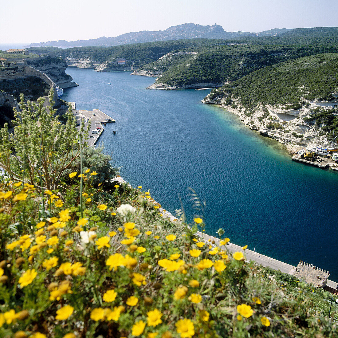 Bonifacio, Corsica Island. France