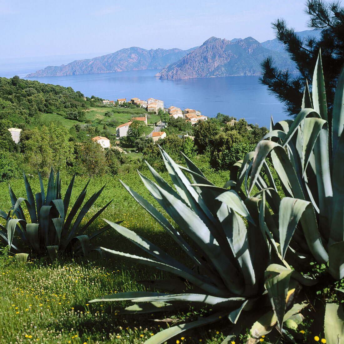 Piana, La Scandola im Hintergrund. Insel Korsika, Frankreich