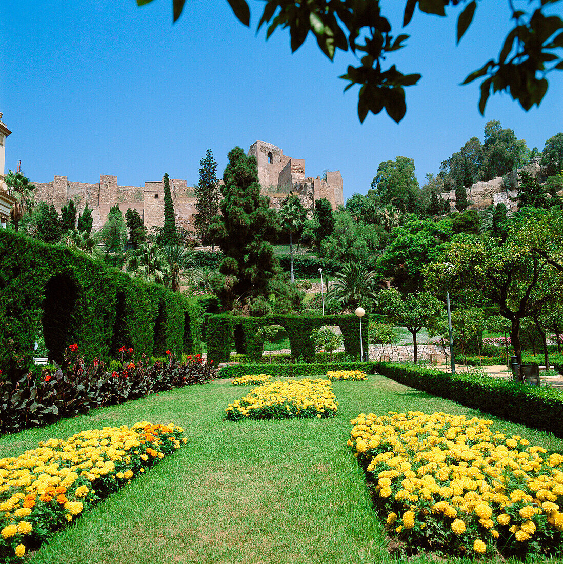 Pedro Luis Alonso Gärten, Alcazaba im Hintergrund. Málaga, Spanien