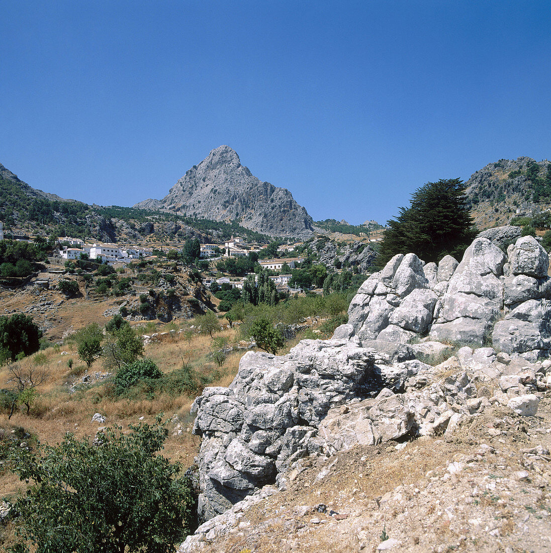 Sierra de Zafalgar, Naturpark Sierra de Grazalema. Provinz Cádiz. Spanien