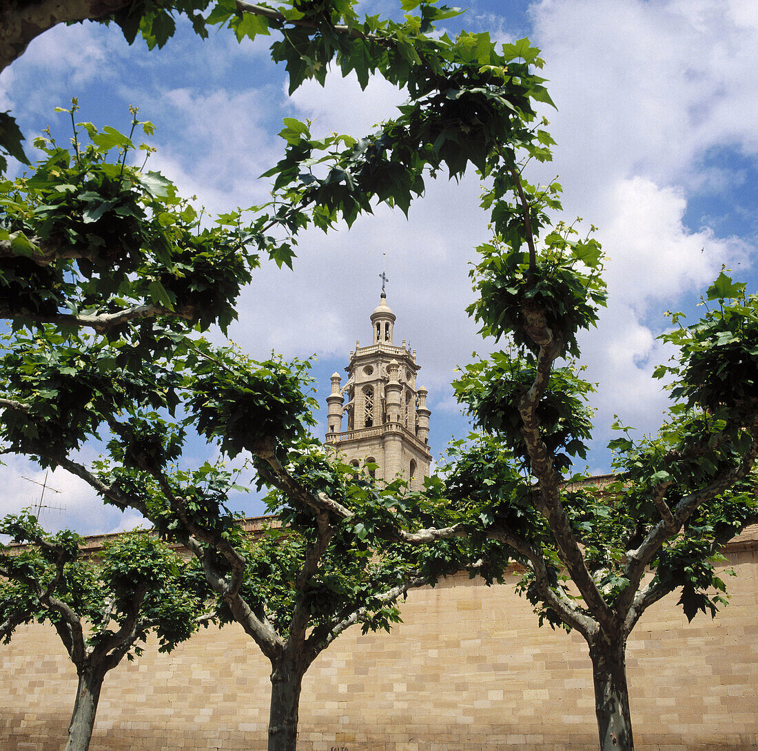 Santa María de los Arcos church tower. Los Arcos, Navarre, Spain