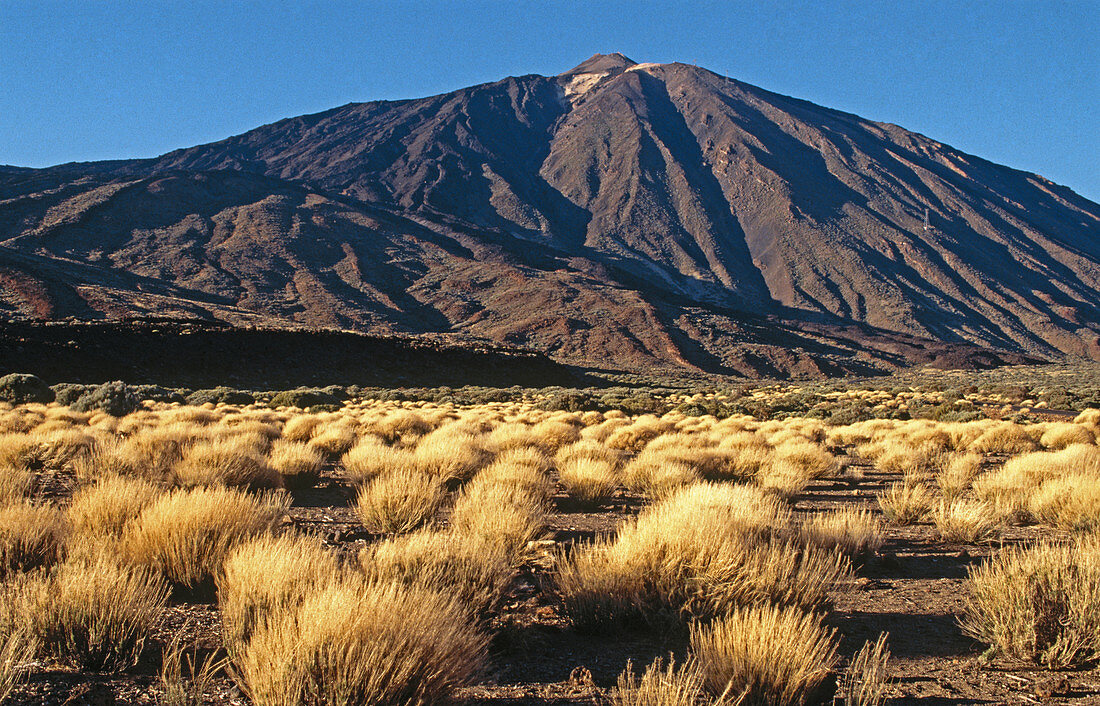 Vulkan Teide. Teide-Nationalpark. Teneriffa. Kanarische Inseln. Spanien.