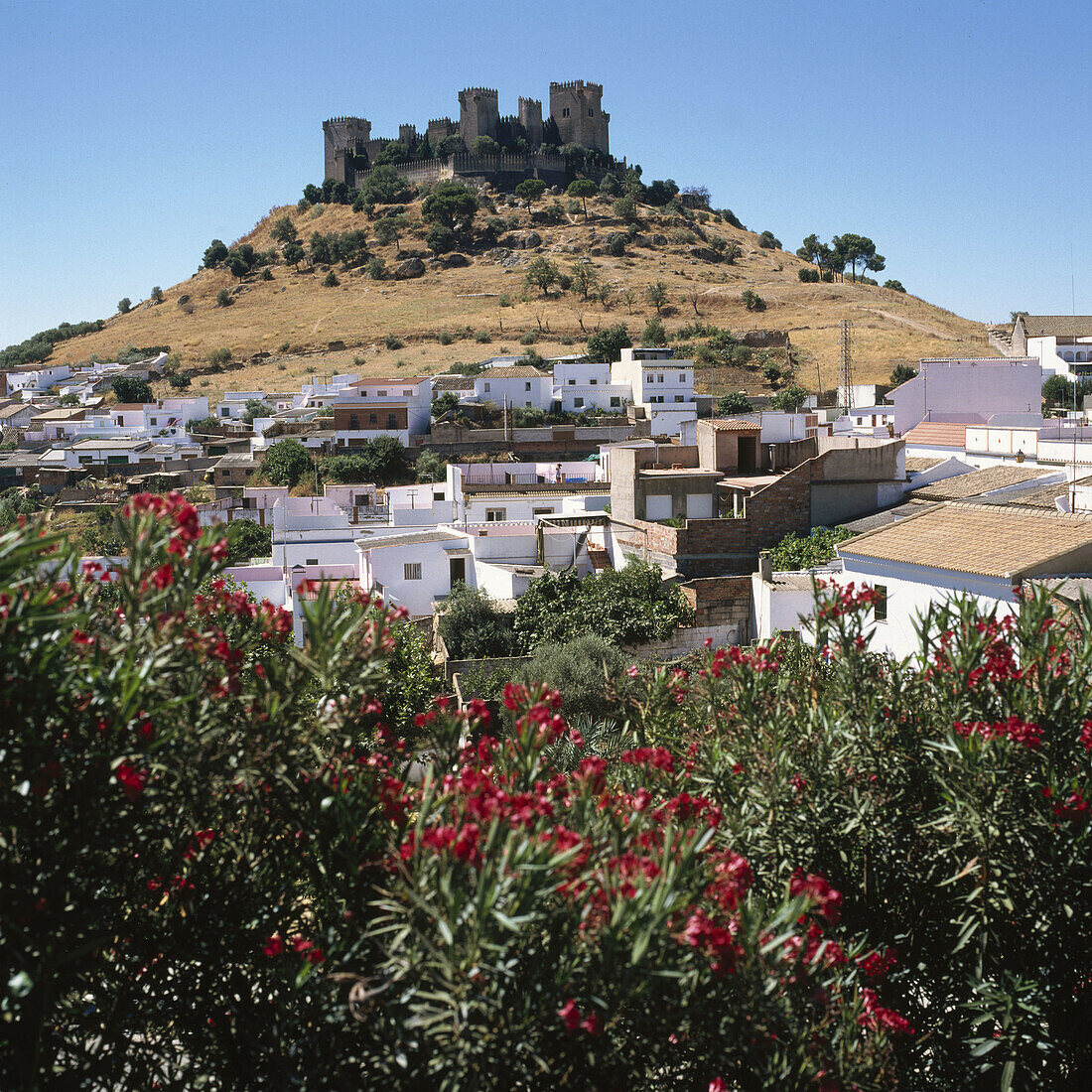 Castle. Almodóvar del Río. Córdoba province. Spain