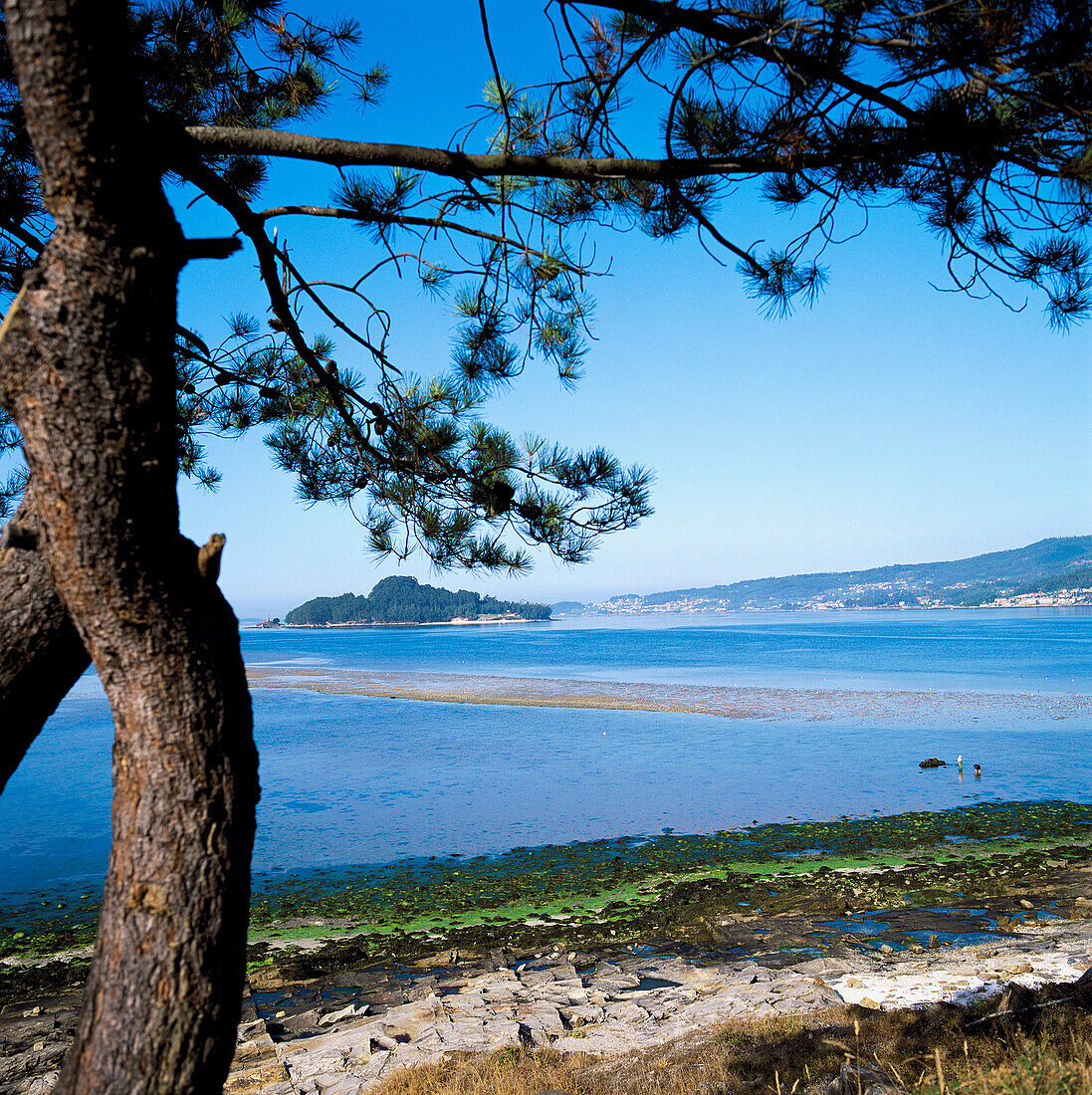 Insel Tambo, Ría de Pontevedra (Flussmündung), Poio-Campelo, Pontevedra, Galicien