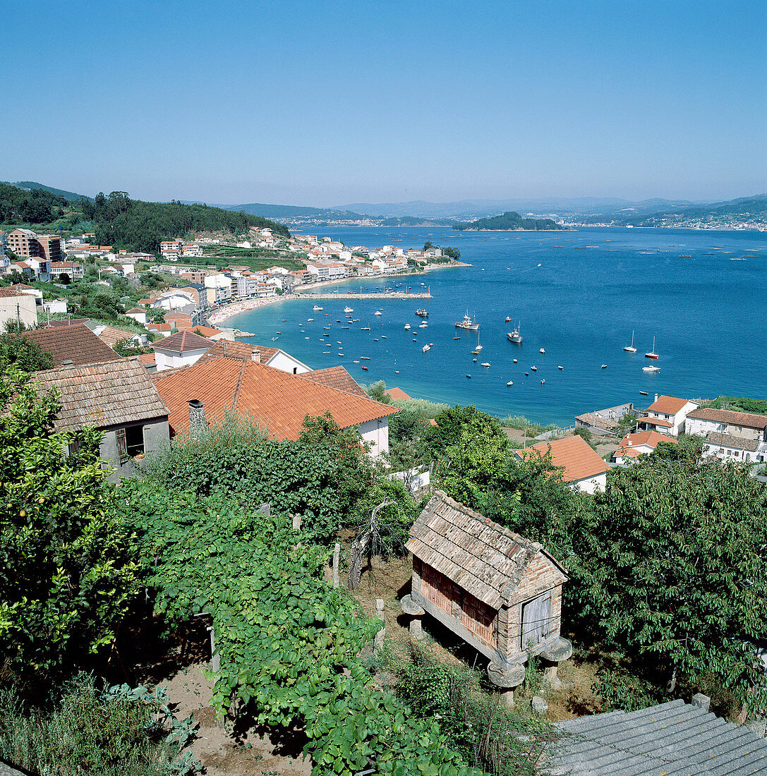 Ría (Flussmündung) von Pontevedra. Isla de Tambo. Provinz Pontevedra. Galicien. Spanien