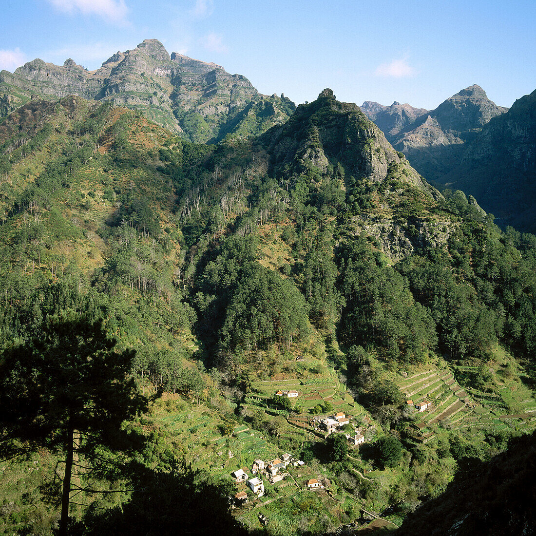 Blick hinauf zur Boca da Encumeada. Serra de Agua, Insel Madeira, Portugal