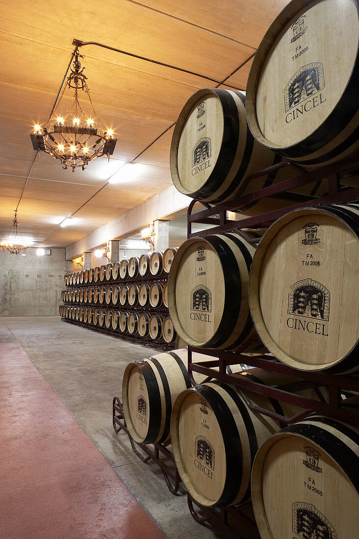 Maturing Rioja wine in oak casks. Bodegas Virgen del Valle, Samaniego, Rioja Alavesa, Euskadi