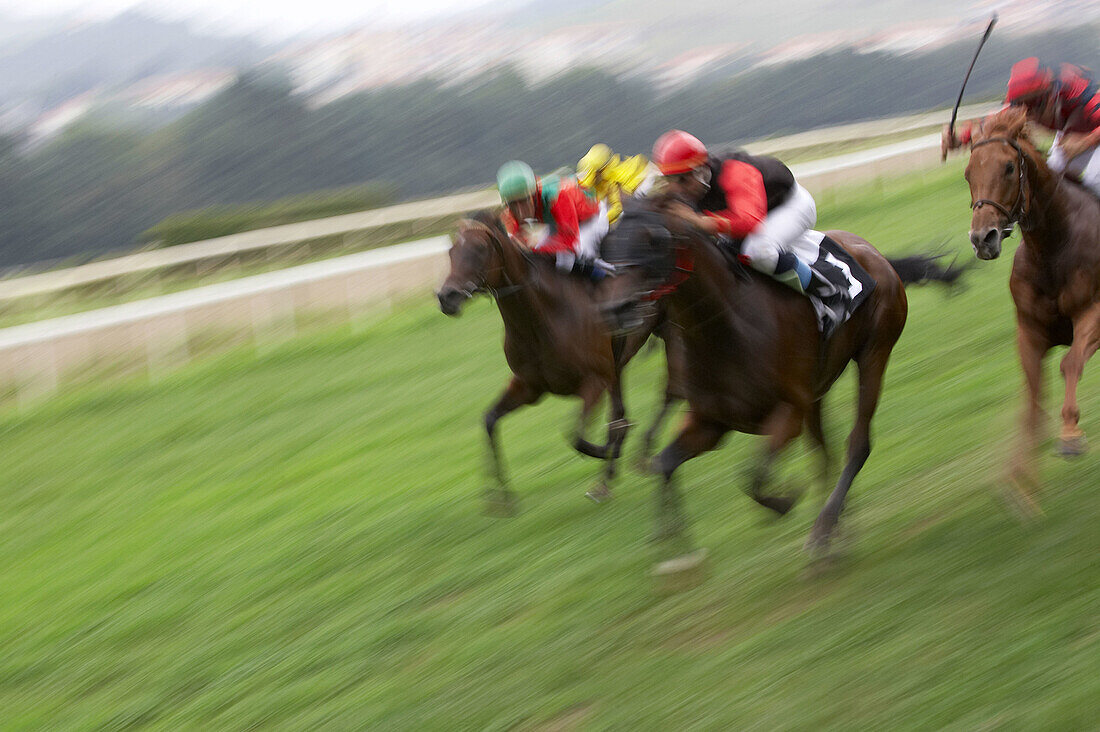 Pferderennen auf der Lasarte-Rennbahn. Guipúzcoa, Euskadi. Spanien