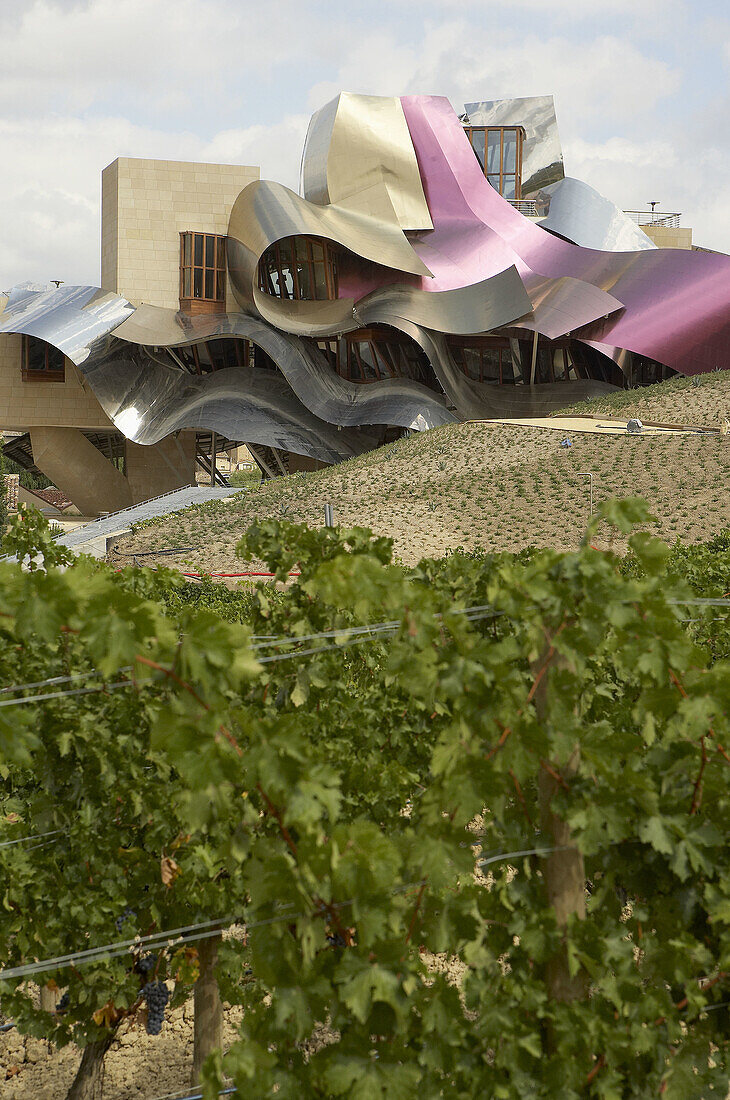 Ciudad del Vino, Gebäude der Weinkellerei Herederos de Marques de Riscal von Frank O. Gehry. Elciego, Rioja alavesa. Alava, Euskadi, Spanien