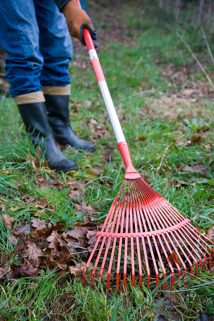 Gardener with rake. Leaf raking. Gipuzkoa, Euskadi. Spain.