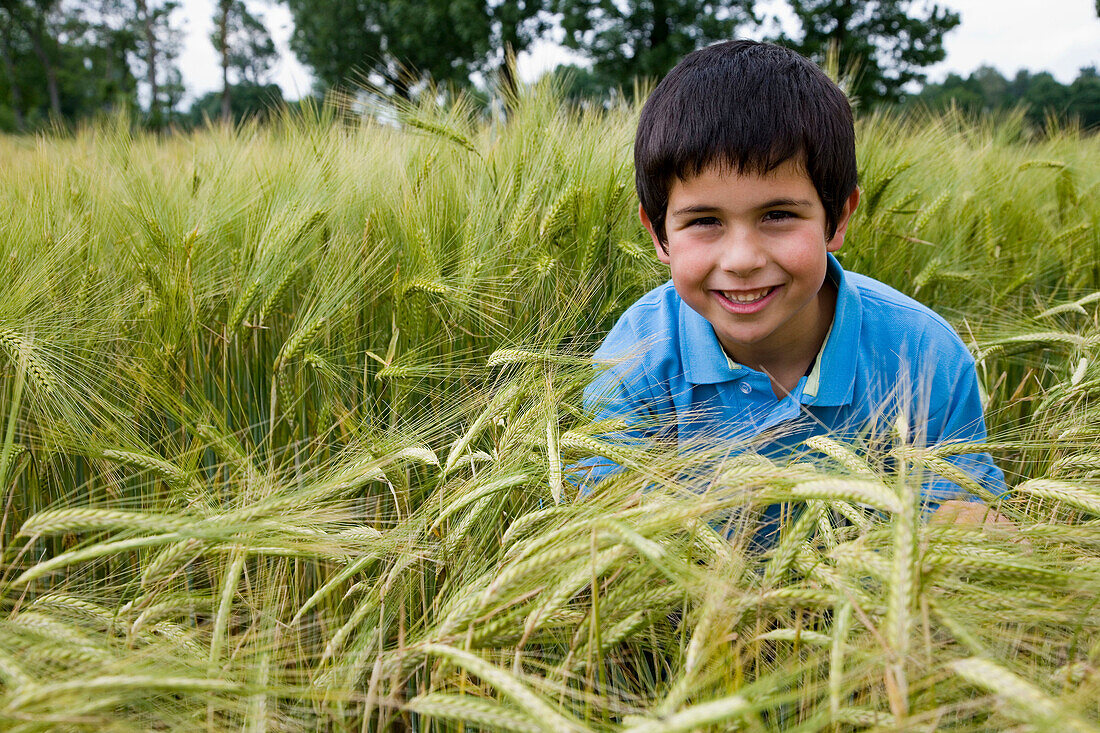Boy in grain field. Arkaute, Alava, Euskadi, Spain