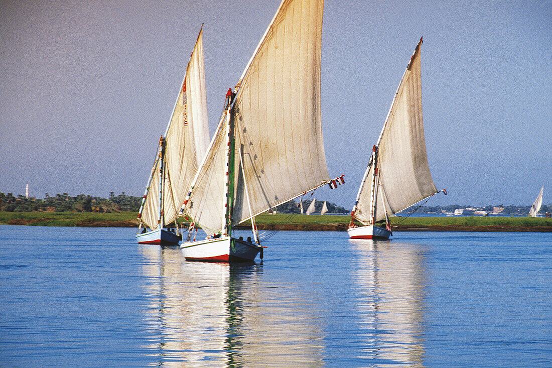 Feluccas on Nile River. Egypt