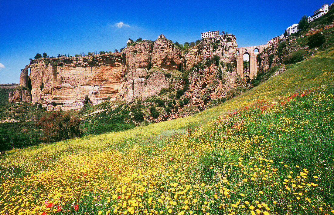 Ronda. Málaga province. Spain