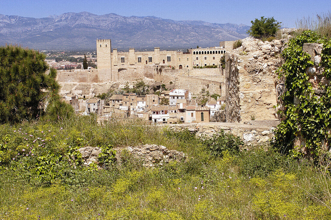 Templar castle of Tortosa. Tarragona province. Spain