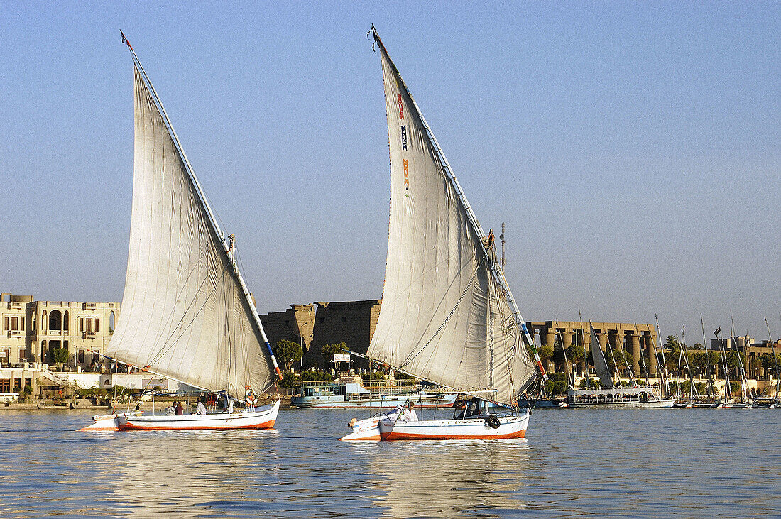 Feluccas on Nile River and Luxor temple in background. Egypt