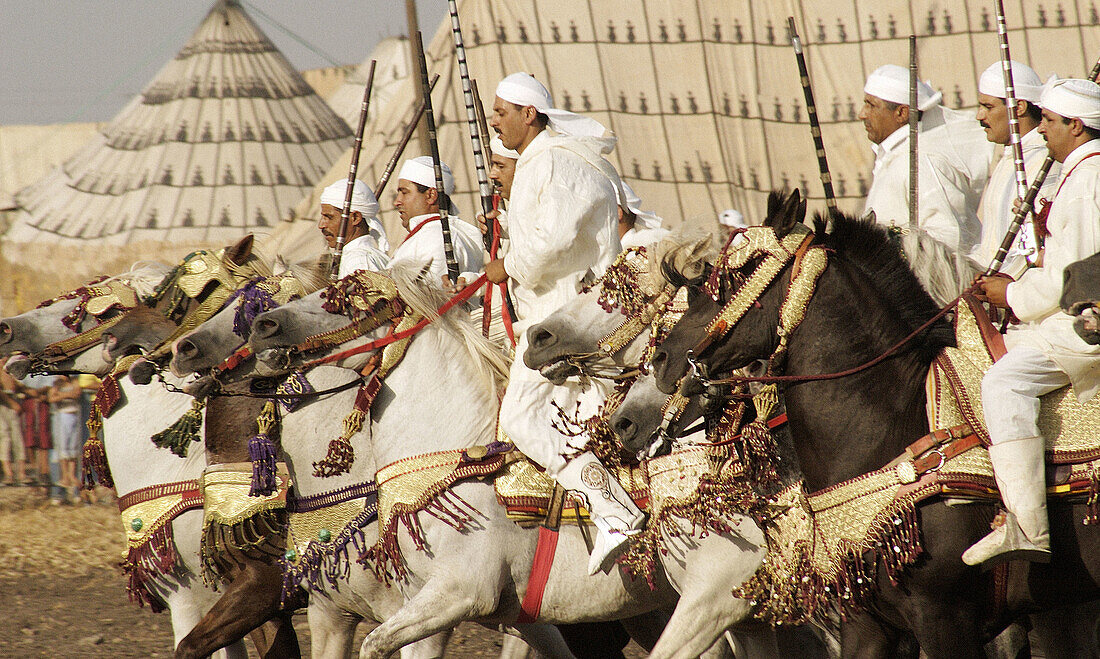 Fantasia at Ain el-Aouda. Morocco