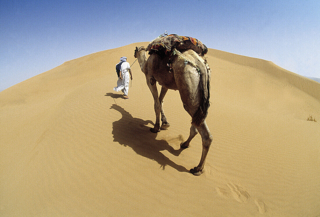 Tindou dunes at Zagora province. Morocco