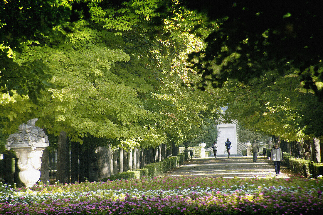 Prince s gardens. Aranjuez. Madrid province, Spain