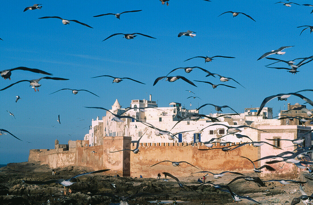 Essaouira. Morocco