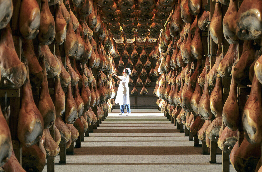 During seasoning, each ham is hand-checked one-by-one. San Daniele ham. Friuli. Italy.