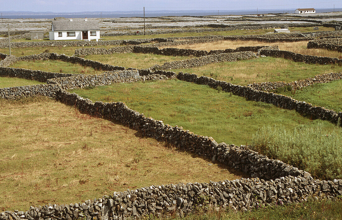 Inishmaan. Aran Islands. Ireland.