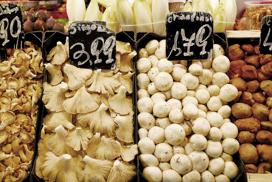 Different kinds of mushrooms. Oyster mushrooms and champignons. Mercado de la Boquería. Barcelona. Spain