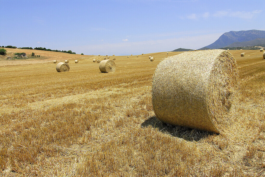 Straw bales