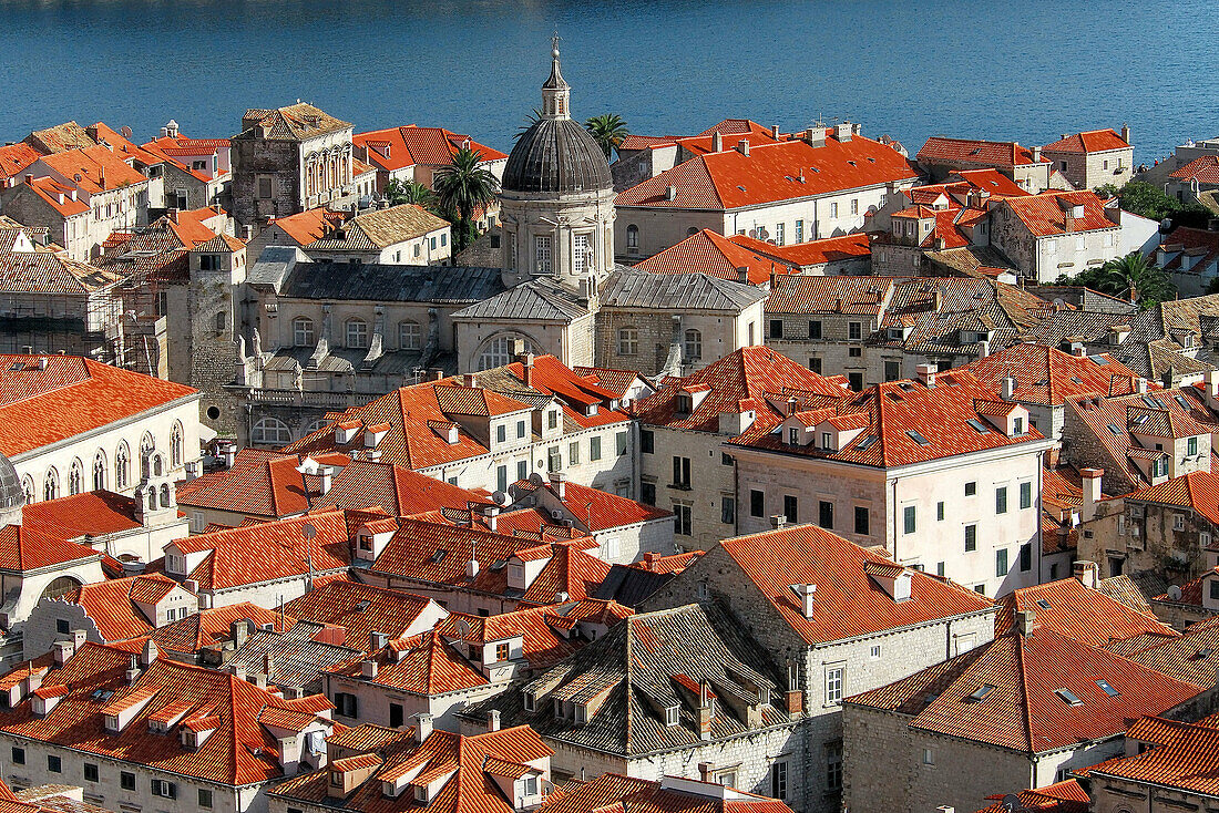 Cathedral. Old town Dubrovnik. Croatia