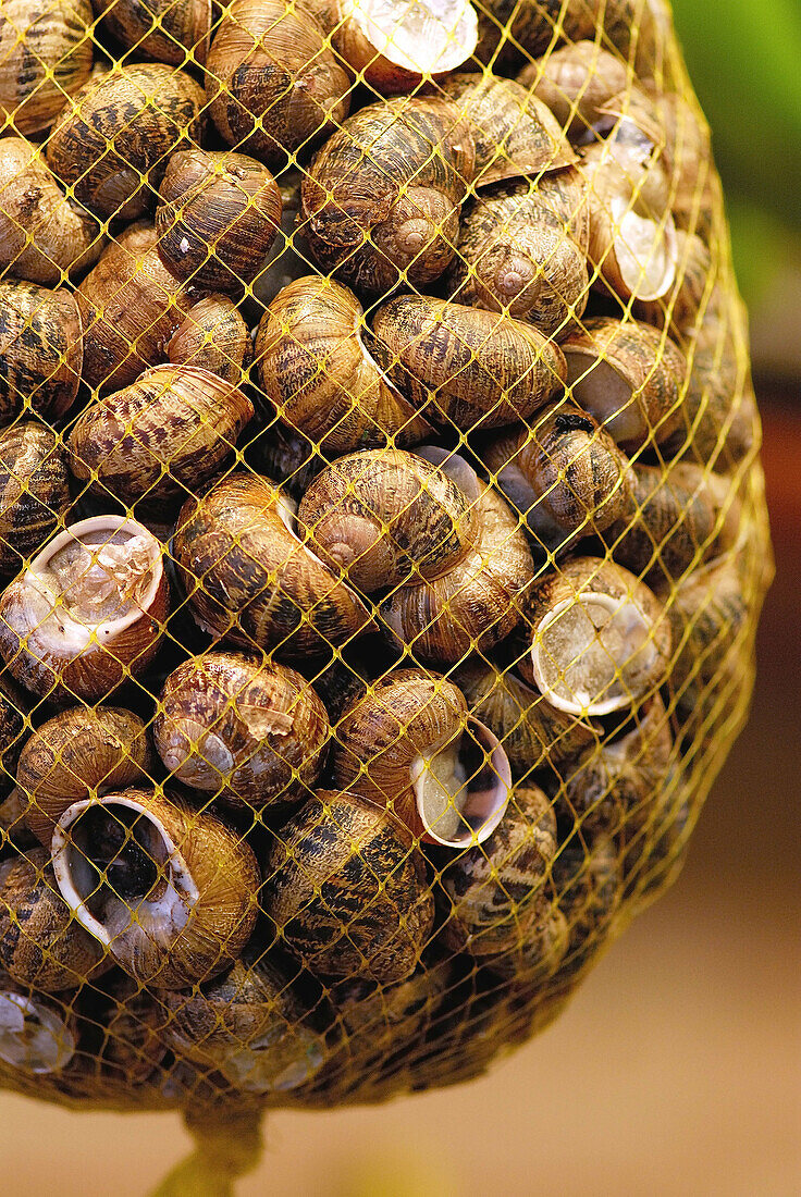 Snails. Boquería market. Barcelona. Spain.