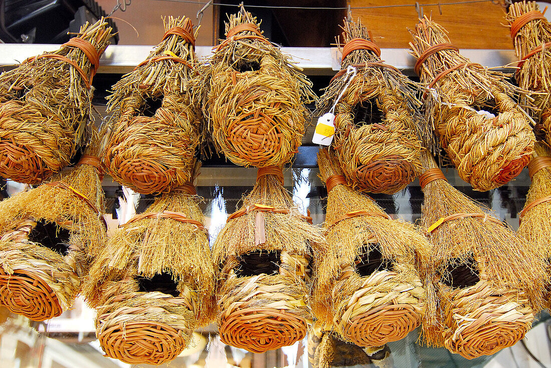 Nidos para pájaros. Las Ramblas. Barcelona