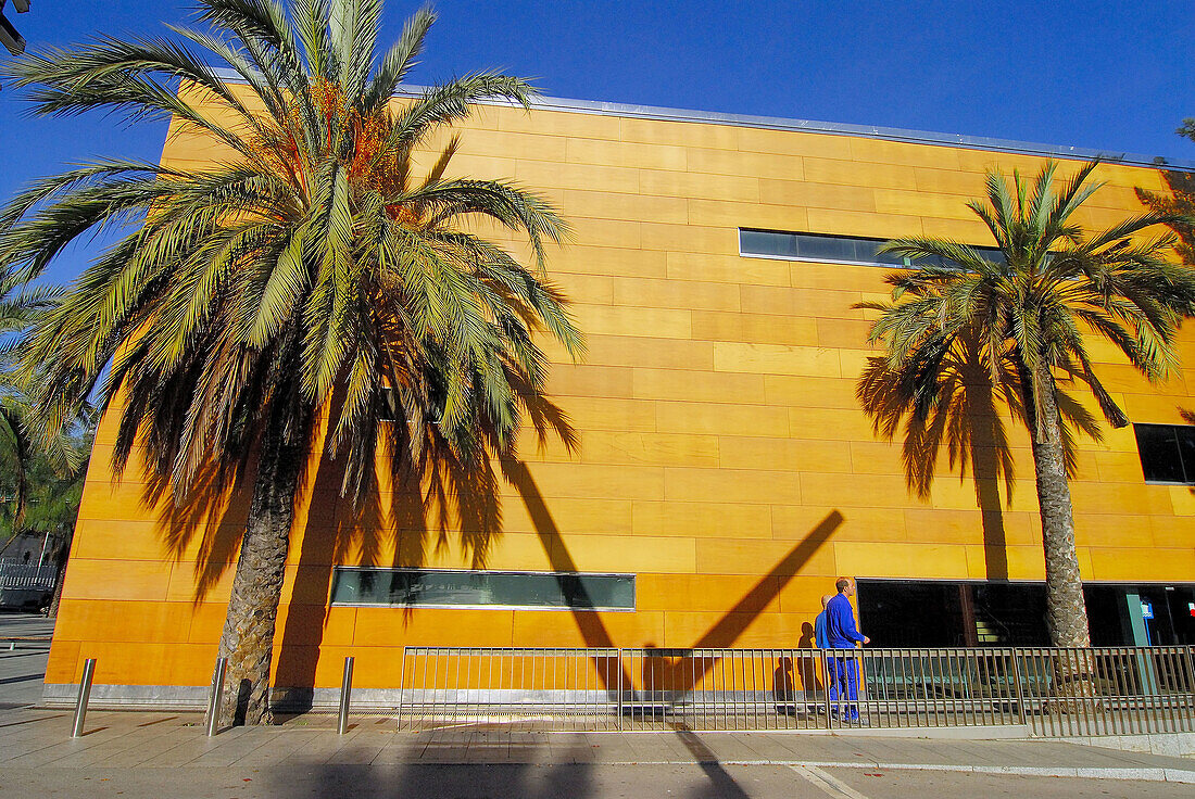 Balearia ferry operator terminal at port, Barcelona. Catalonia, Spain