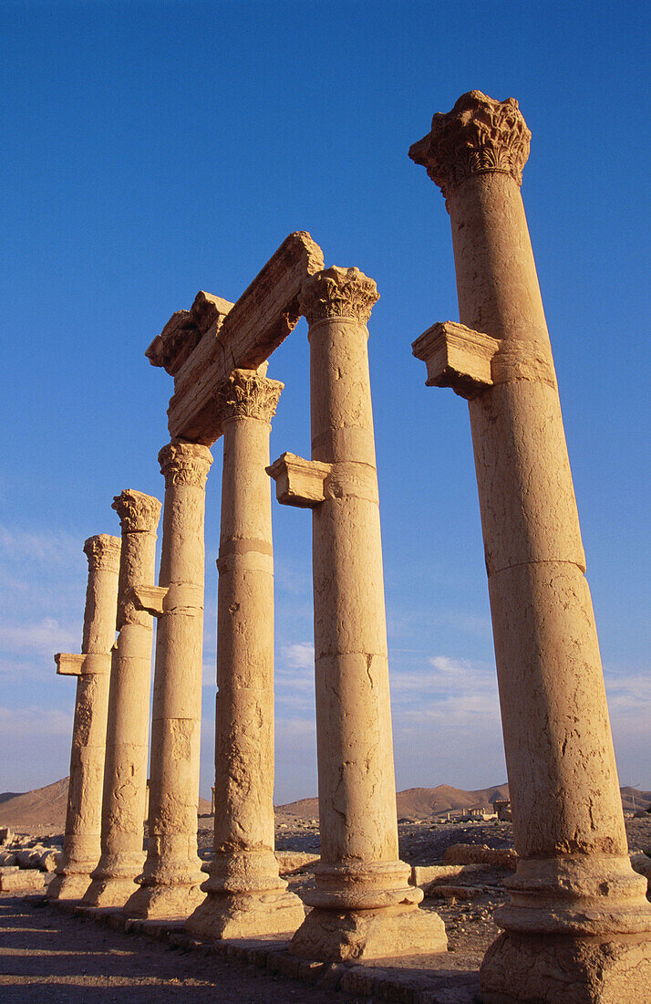 Colonnades and arches. Cardo Maximus. Palmyra. Syria