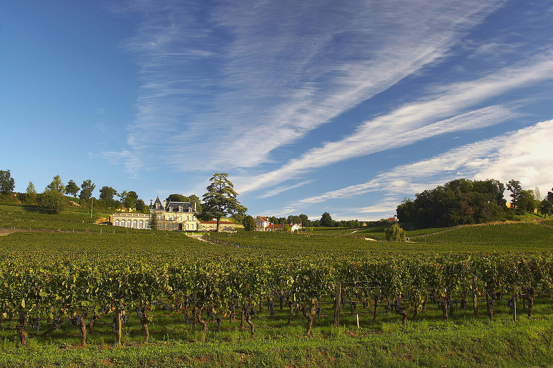 Aussenansicht des Weingutes Château Fonplégade, St. Emilion, Dept. Gironde, Frankreich, Europa