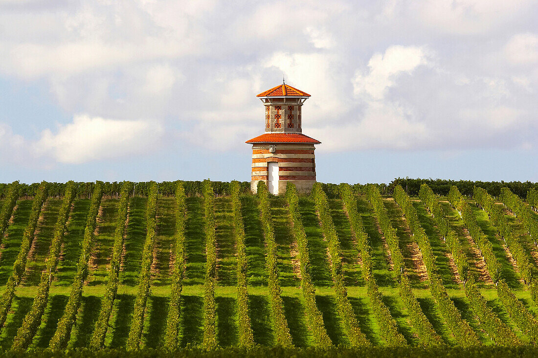 Bordeaux Wein: Weinberg mit Taubenturm bei Château Loudenne, Dept. Gironde, Médoc, Frankreich, Europa