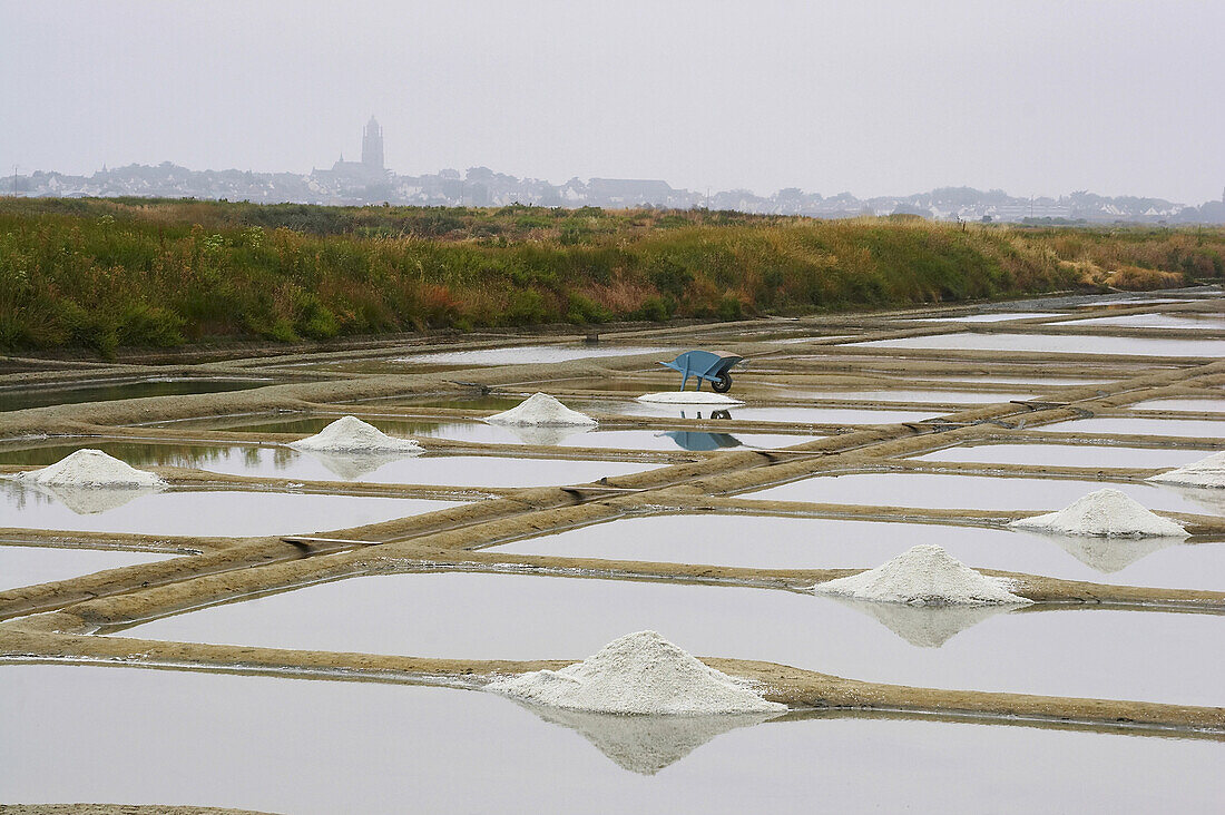 Salzgärten marais salants bei Guérande, Dept Loire-Atlantique, Frankreich, Europa